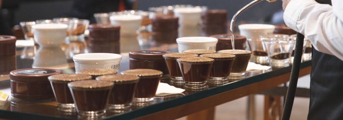 Auswertung des Cuppings