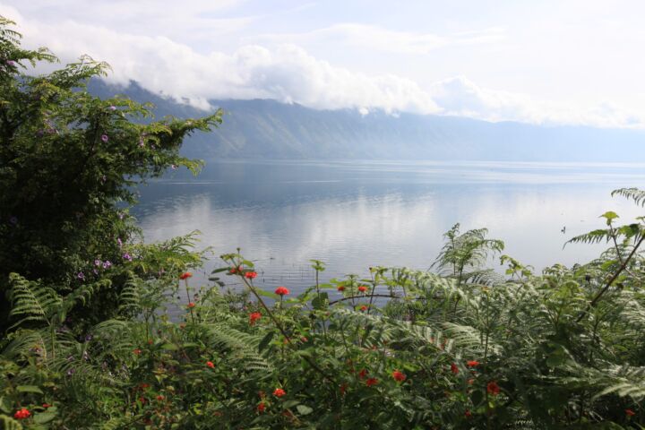 Indonesischer Röstkaffee – frisch gemahlene Kaffeebohnen aus Indonesien - Sumatra, aromatisch und vollmundig, ganze Bohne 1,48