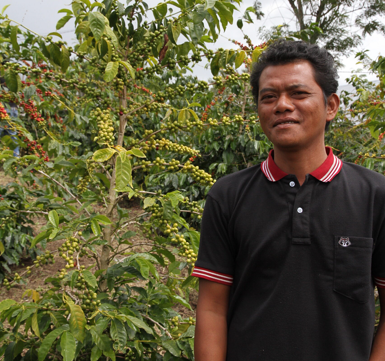 Indonesischer Röstkaffee – frisch gemahlene Kaffeebohnen aus Indonesien - Sumatra, aromatisch und vollmundig, ganze Bohne Panji Mulia