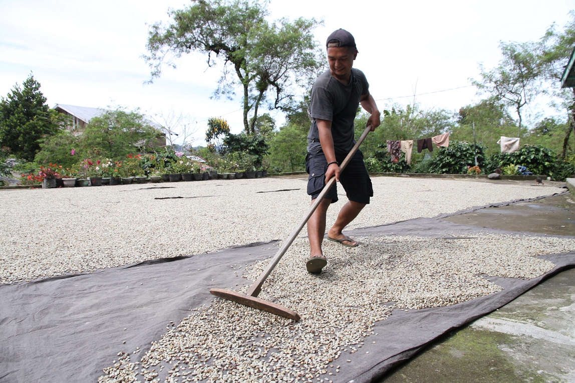Indonesischer Röstkaffee – frisch gemahlene Kaffeebohnen aus Indonesien - Sumatra, aromatisch und vollmundig, ganze Bohne Wih Bersih
