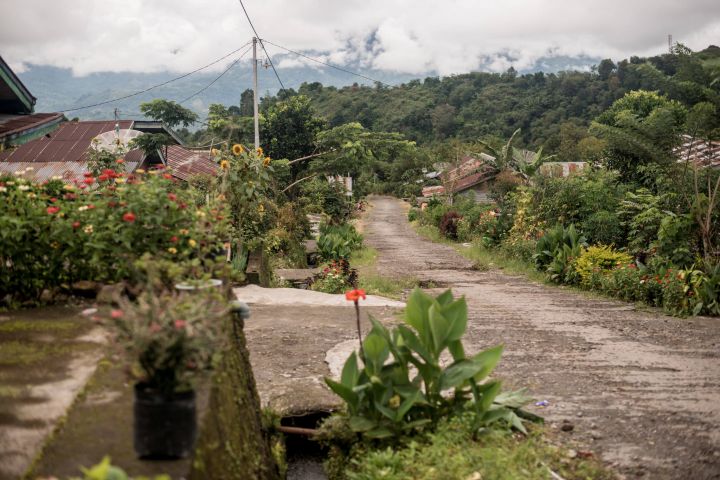 with-berish-indonesien-orang-utan-projektkaffee